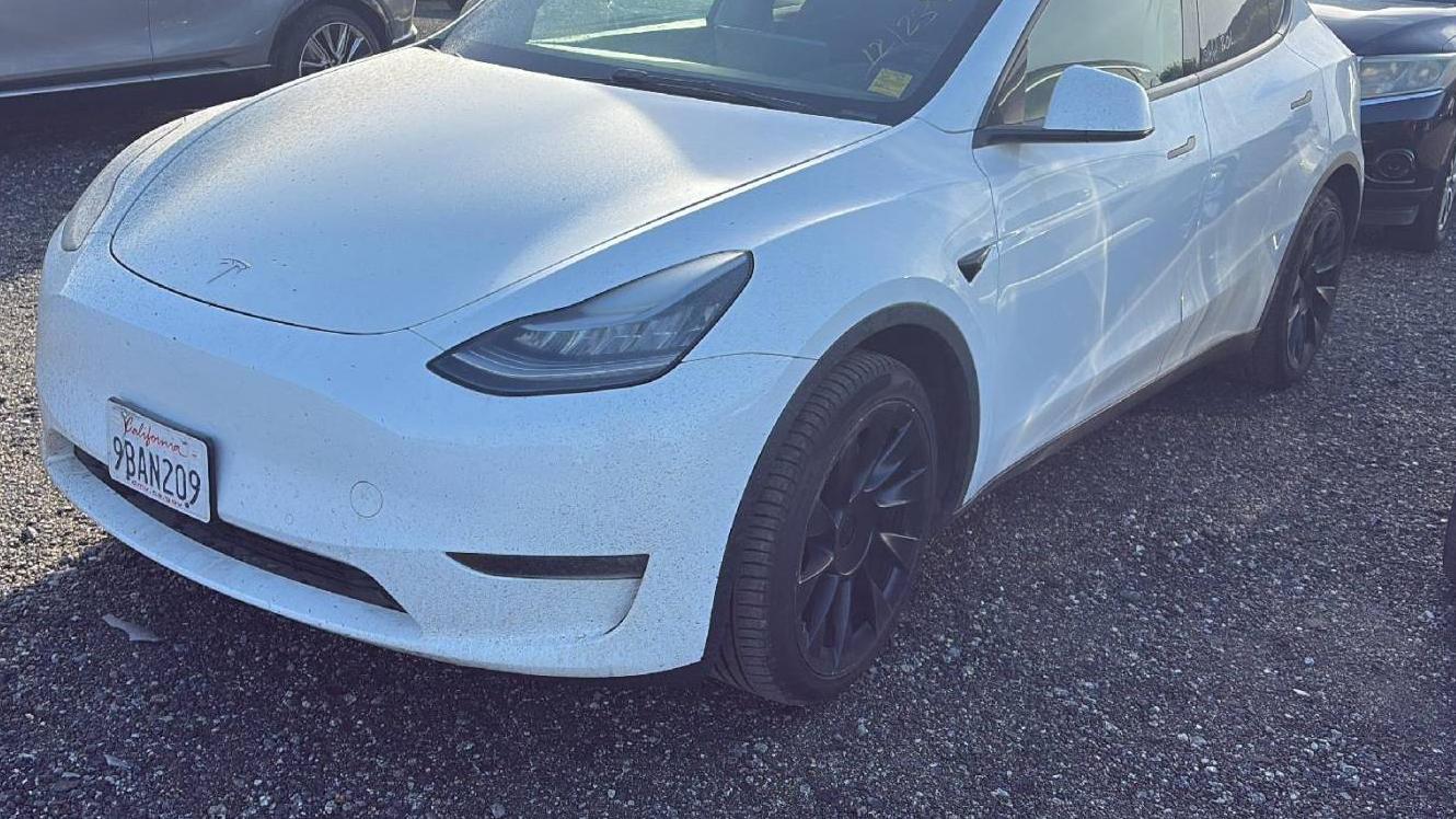 TESLA MODEL Y 2022 7SAYGDEEXNF481901 image